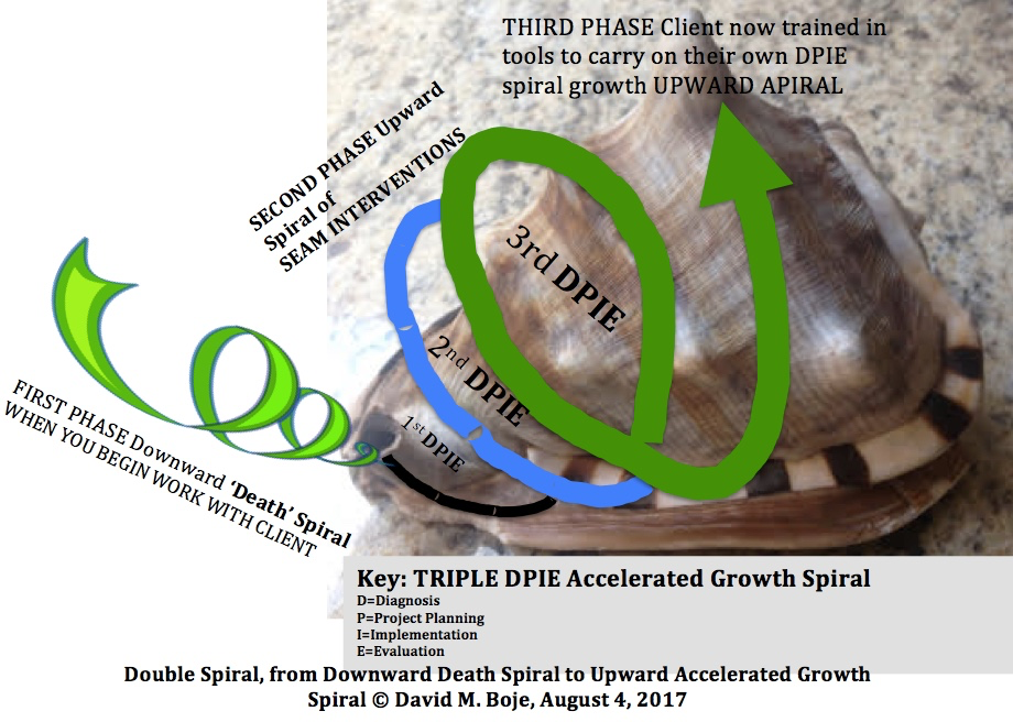 Boje's Death Spiral transfromation to Growth Spiral interventions