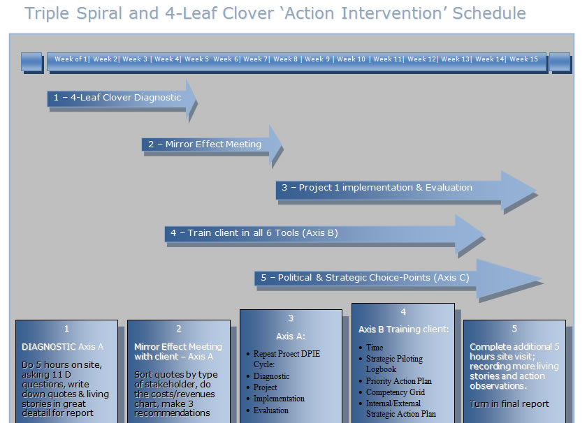 Action Intervention using TRiple Spiral Consulting Model