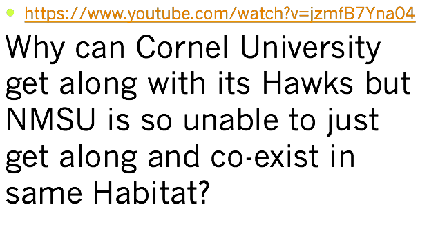 Hawk and Cornell