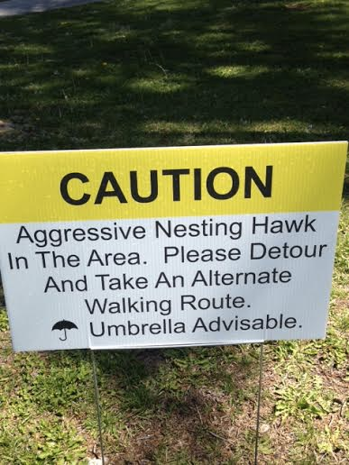 Angry Bird Sign at NMSU
