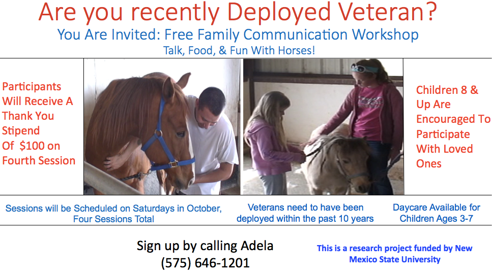 Flyer for Student Veterans and Family Member project