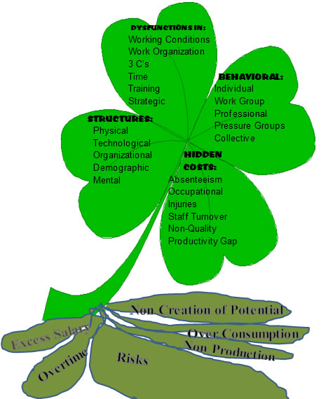 The 4-Leaf Clover Diagnosis with deep root stems