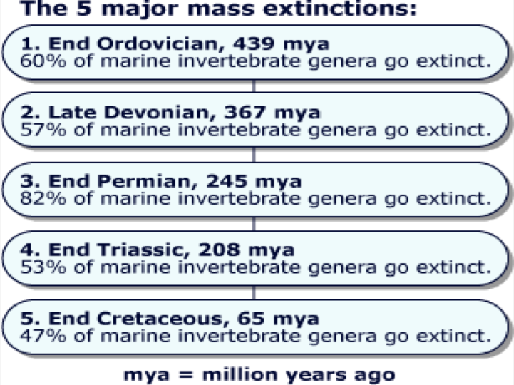 5
            Major Extinctions