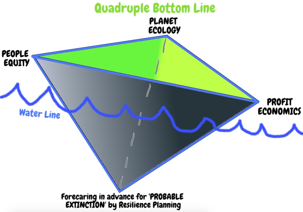 Quadruple Bottom Line for New Zealand by Boje 2018