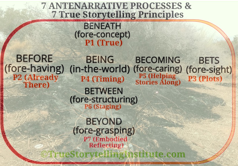 7 Principles and 7 Antenarrative Process of TREE burning
        Story