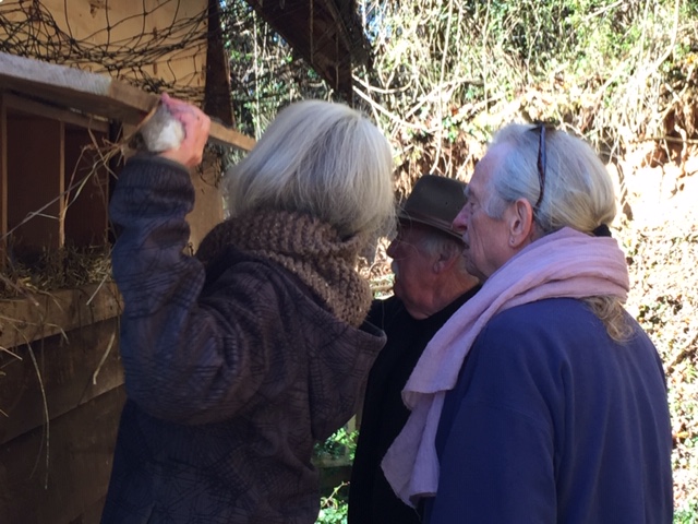 Carol Norman David looking for some chicken eggs