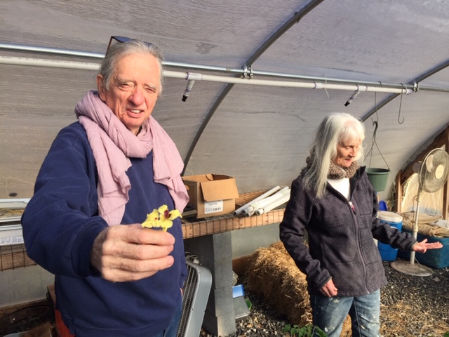 David and Carol are eating a flower in the
                  Greenhouse at the farm where kids play and learn