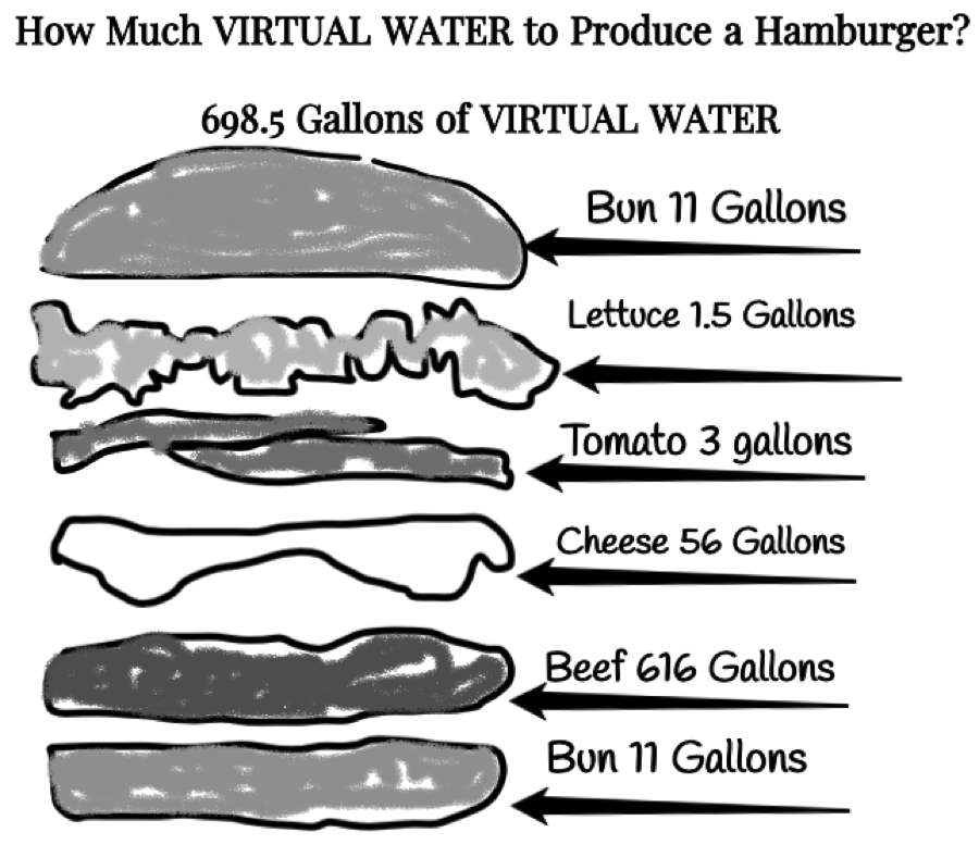 What is
            Virtual Water of a Hamburger?