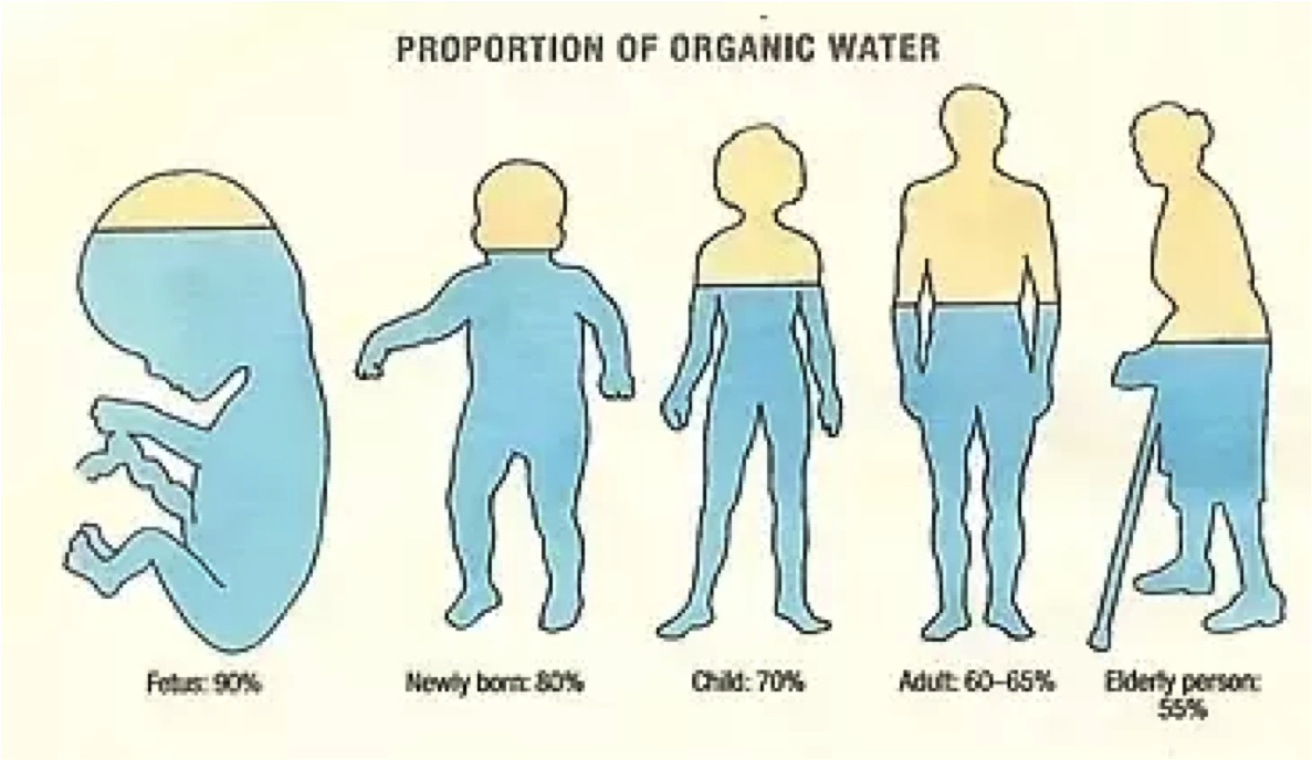 We are
                water bodies walking climate systems